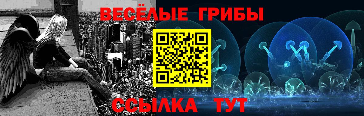 Псилоцибиновые грибы Psilocybine cubensis  Вход с VPN  Топки  Псилоцибиновые грибы Psilocybine cubensis 